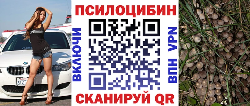 Купить  Кушва  Псилоцибиновые грибы Magic Shrooms 