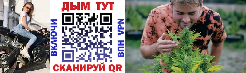 Бошки Шишки гибрид  Купить где  Кушва 
